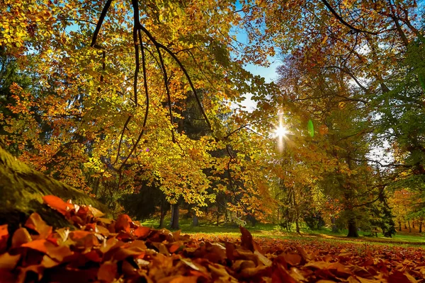 Natureza de outono com raios de sol — Fotografia de Stock