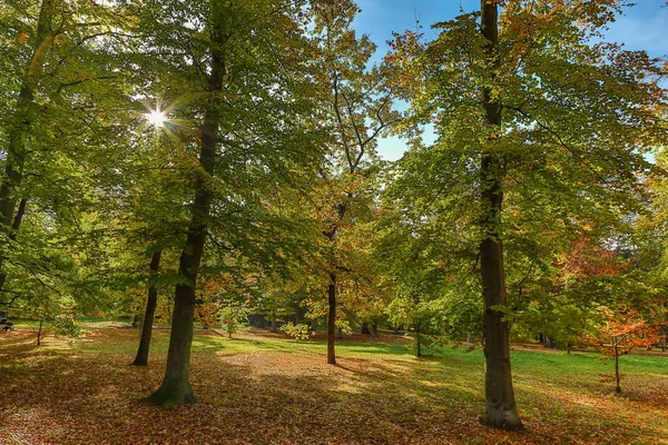 Automne nature avec les rayons du soleil — Photo