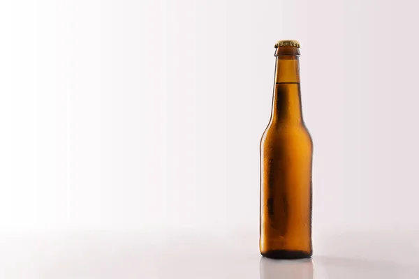 Beer bottle filled and closed on glass table white background. — Stock Photo, Image