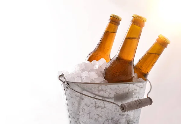Três garrafas de cerveja em balde cheio de cubos de gelo branco — Fotografia de Stock