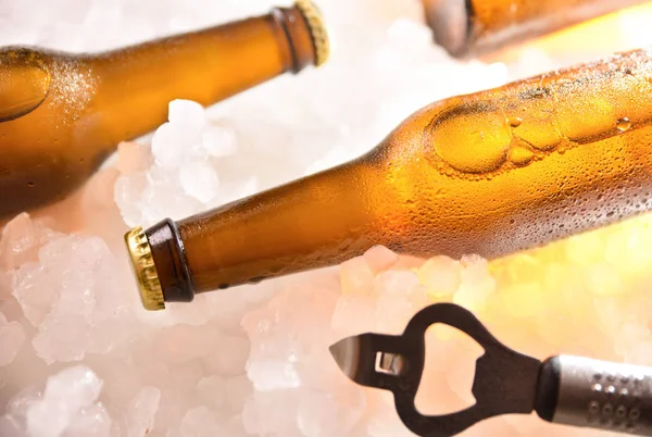 Beer bottles lying on crushed ice with bottle opener — Stock Photo, Image