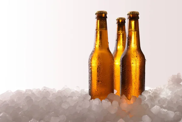 Három teljes sörösüveg a jég és a fehér háttér — Stock Fotó