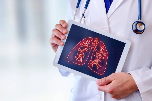 Doctor mostrando los pulmones en una mesa de cerca — Foto de Stock