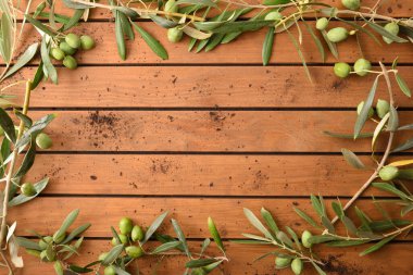 Zeytinli zeytin dalları ve ahşap çatallı toprak. Organik zeytin hasadı konsepti. Üst görünüm.
