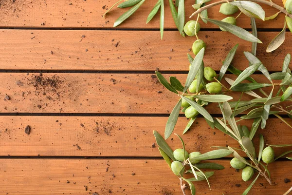 Ramas Olivo Con Aceitunas Mesa Con Listones Madera Con Tierra —  Fotos de Stock