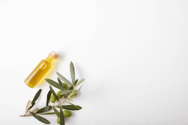 Cam kavanoz ve zeytin dalı dolu beyaz masa. Üst görünüm.