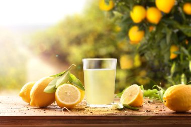Arka planda limon ağaçları ve güneş ışığı olan limon dolu ahşap bir masada taze sıkılmış meyve suyu. Ön manzara. Yatay bileşim.