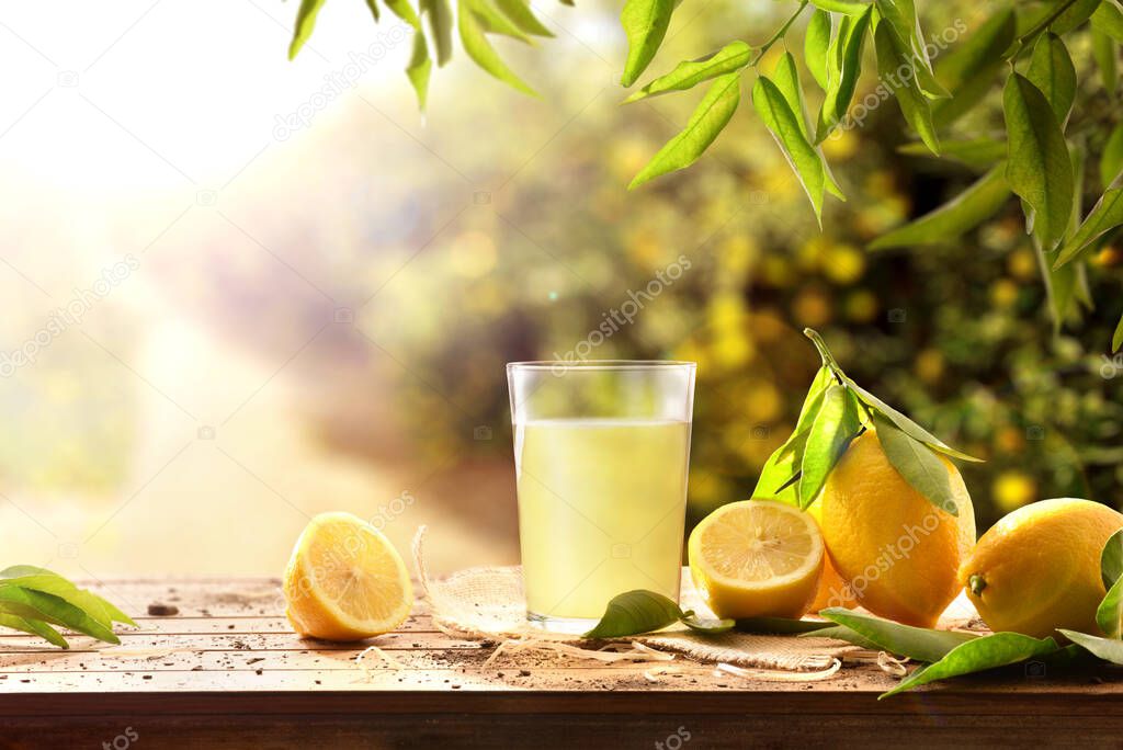 Freshly squeezed juice on a wooden table full of lemons with lemon trees in the background and sunlight. Front view. Horizontal composition.