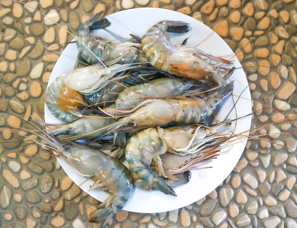 Prato Camarão Cru Para Cozinhar — Fotografia de Stock