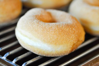 çörek veya hamur veya halka