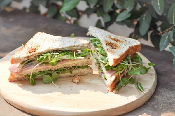 Sandwich kanapka, szynką i serem — Zdjęcie stockowe