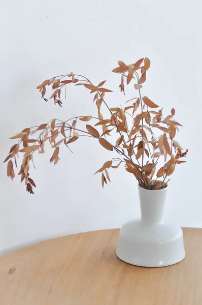 dried plant ,dried plant in the vase