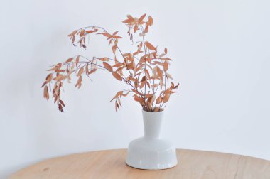 kurutulmuş bitki, vazoda kurutulmuş bitki