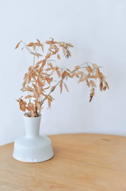 kurutulmuş bitki, vazoda kurutulmuş bitki