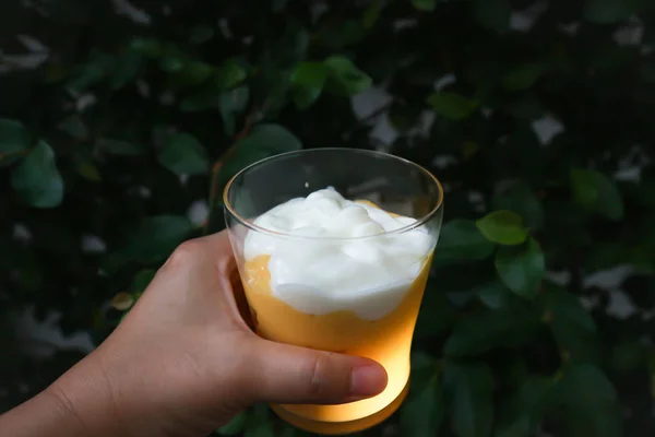 Frullato di mango o frullato di yogurt al mango con guarnizione di yogurt — Foto Stock