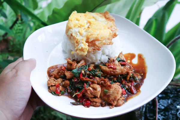 Babi goreng dengan telur goreng, kemangi suci dan nasi — Stok Foto