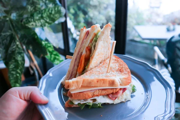 サンドイッチ、クラブサンドイッチ、ハムサンドイッチ — ストック写真