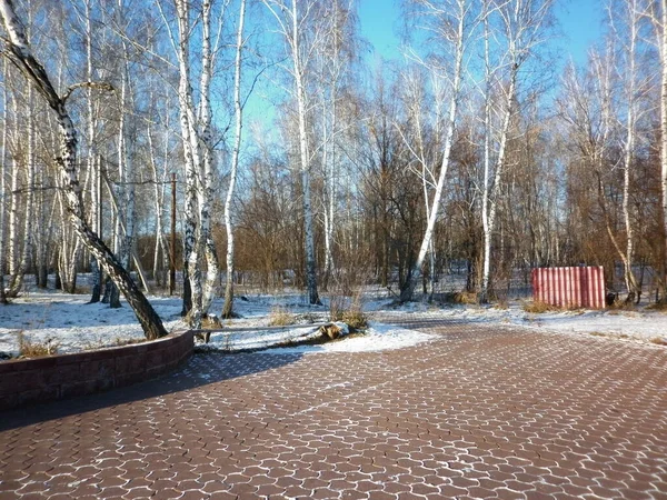 Zima Křesle Krásný Výhled — Stock fotografie