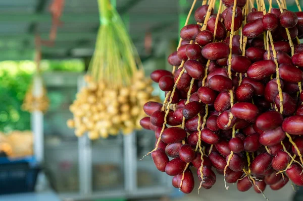 Date palm fruit, fresh fruit from the Middle East. There are a lot of benefits, which are popular among Israel.