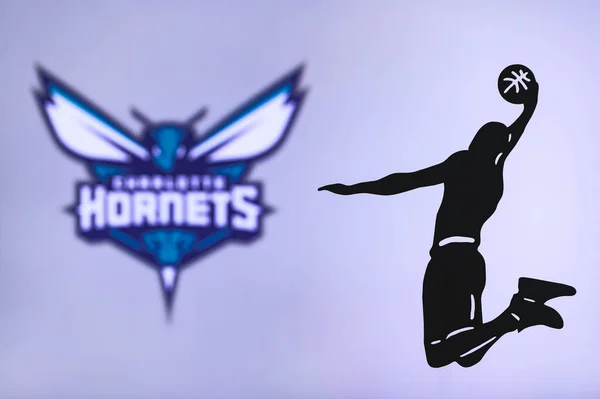 New York Usa Jun 2020 Charlotte Hornets Basketklubbs Logotyp Silhuett — Stockfoto