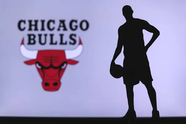 New York Usa Jun 2020 Chicago Bulls Logo För Professionell — Stockfoto