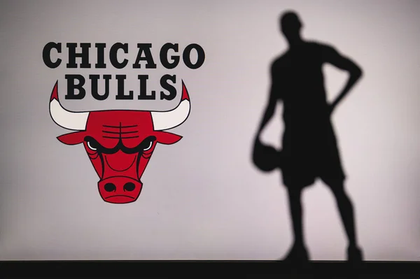 New York Usa Jun 2020 Chicago Bulls Logo För Professionell — Stockfoto
