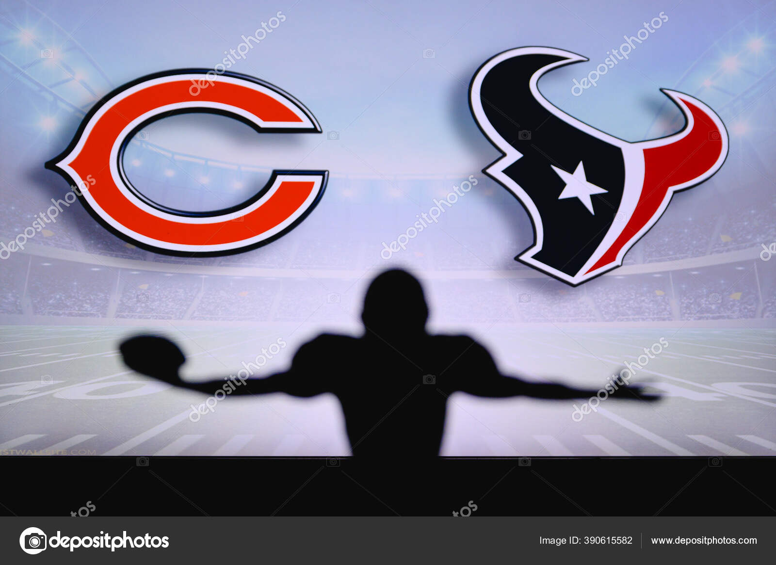 Chicago Bears Houston Texans Nfl Game American Football League