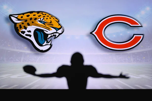 Jacksonville Jaguars Chicago Bears — Stockfoto