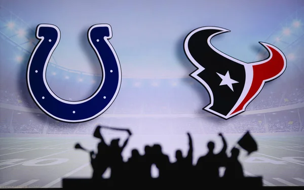 Indianapolis Colts Mot Houston Texans Fans Stöd Nfl Game Silhuett — Stockfoto
