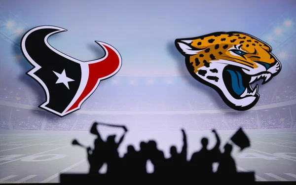 Houston Texans Kontra Jacksonville Jaguars Fani Wspierają Nfl Game Sylwetka — Zdjęcie stockowe