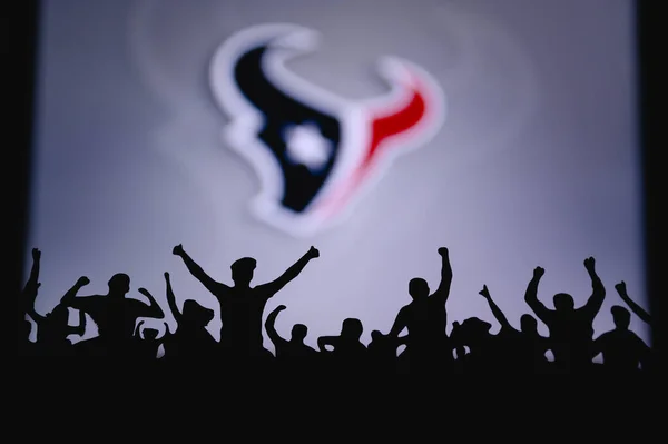 Houston Texans Fans Support Professional Team American National Foorball League — Stock Photo, Image