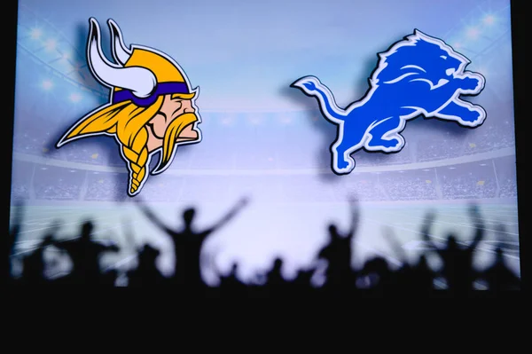 Minnesota Vikings Contro Detroit Lions Supporto Dei Tifosi Nella Partita — Foto Stock