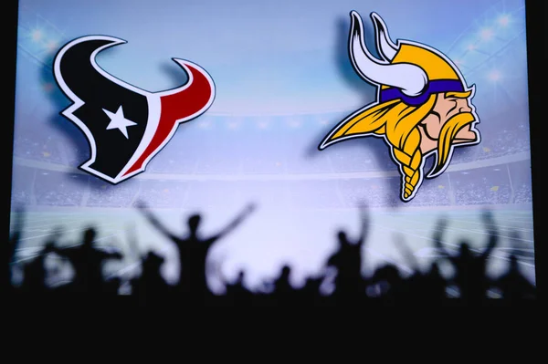 Houston Texans Minnesota Vikings Fans Support Nfl Game Silhouette Supporters — Stock Photo, Image