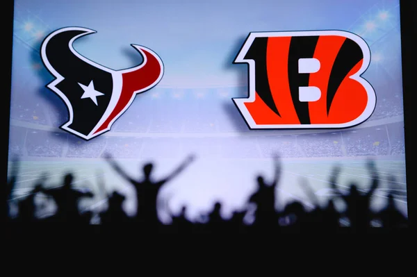 Houston Texans Cincinnati Bengals Підтримує Nfl Game Силует Прихильників Великий — стокове фото