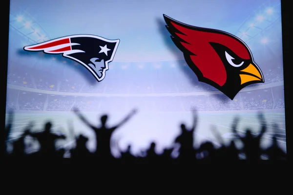 New England Patriots Arizona Cardinals Soutien Des Fans Sur Jeu — Photo