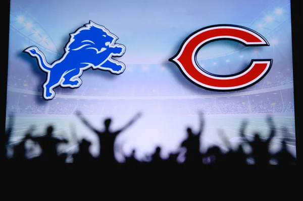 Detroit Lions Chicago Bears Karşı Taraftarlar Nfl Game Destekliyor Destekçilerin — Stok fotoğraf