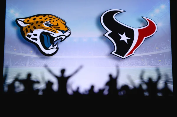 Jacksonville Jaguars Houston Texans Fans Apoyo Juego Nfl Silueta Los — Foto de Stock