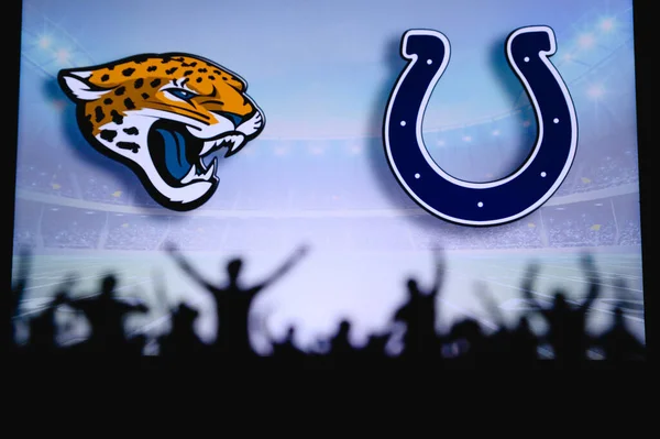 Jacksonville Jaguars Mot Indianapolis Colts Fans Stöd Nfl Game Silhuett — Stockfoto