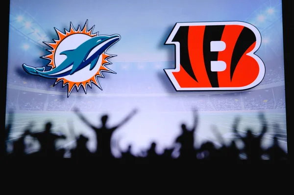 Miami Dolphins Cincinnati Bengalen Fans Ondersteuning Nfl Game Silhouet Van — Stockfoto