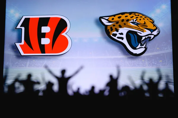 Cincinnati Bengals Jacksonville Jaguars Fãs Apoiam Nfl Game Silhueta Apoiantes — Fotografia de Stock