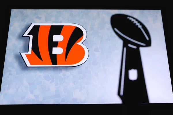 Cincinnati Bengals Profi Amerikai Labdarúgó Klub Sziluett Nfl Trófea Logó — Stock Fotó