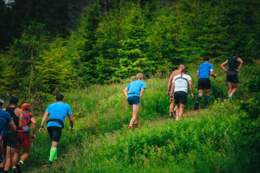 Koşu yarışı, ormanda koşan sporcular. Tepeye doğru dikey yarış.