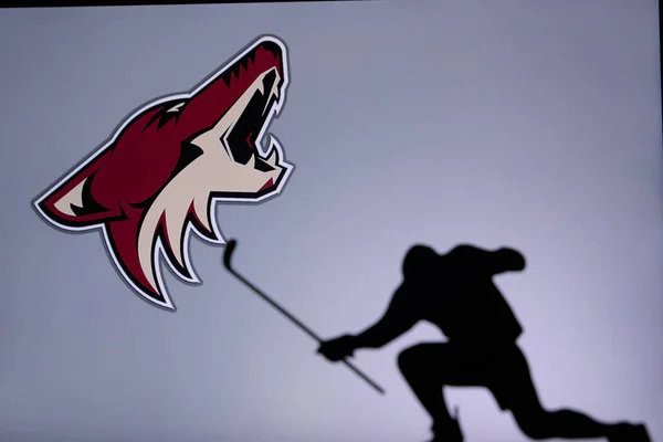 Торонто Канада Лет Логотип Аризоны Койотс Профессиональный Хоккеист Нхл Празднует — стоковое фото