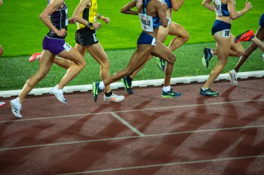 OSTRAVA, CZECH Cumhuriyet, EYLÜL. - Sekiz. 2020: Pist ve saha yarışındaki profesyonel atletlerin bacakları tartışmalı Nike koşu ayakkabıları giyiyor. Hava Büyütme Zaferi ve Nike Dragonfly Çivileri