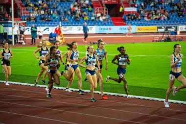OSTRAVA, CZECH Cumhuriyet, EYLÜL. - Sekiz. 2020: Profesyonel orta mesafe atletizm bayan yarışı. 1500 metre. Tokyo 2021 Yaz Olimpiyatları için orjinal duvar kâğıdı