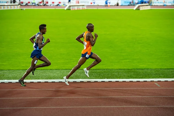 奥斯特里瓦 2020年 Selemon Barega和Jacob Kiplimo参加5000米职业田径比赛 为2021年东京奥运会做准备 — 图库照片