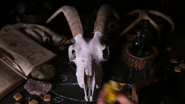 White Goat Scull Horns Open Old Book Runes Black Candles — Stock Video