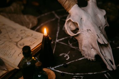 Boynuzlu beyaz keçi kafatası, açık eski kitap (metin - çevrilemez, hayali dil), cadı masasında siyah mumlar. Esrarengiz, esrarengiz, kehanet ve cadı kavramı. Cadılar Bayramı, ölüm günü konsepti