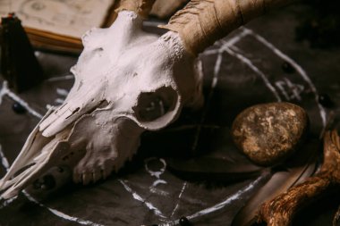 Boynuzlu beyaz keçi kafatası, açık eski kitap (metin - çevrilemez, hayali dil), cadı masasında siyah mumlar. Esrarengiz, esrarengiz, kehanet ve cadı kavramı. Cadılar Bayramı, ölüm günü konsepti