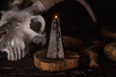 Boynuzlu beyaz keçi kafatası, açık eski kitap (metin - çevrilemez, hayali dil), cadı masasında siyah mumlar. Esrarengiz, esrarengiz, kehanet ve cadı kavramı. Cadılar Bayramı, ölüm günü konsepti